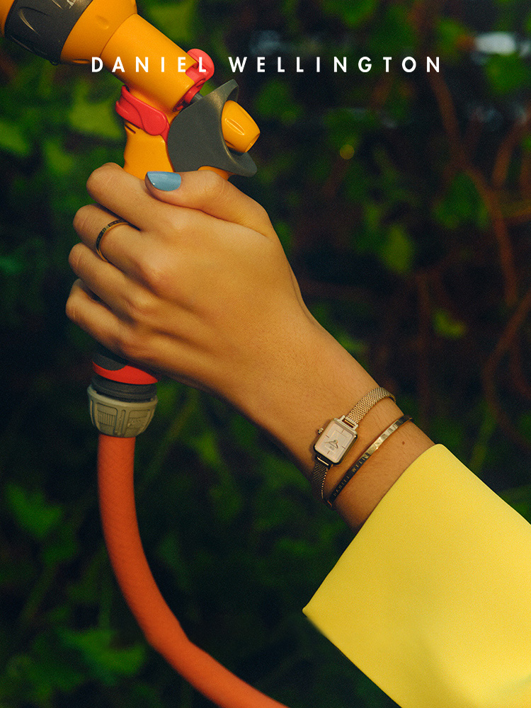 Daniel Wellington Quadro Mini  - огляд і ціна Daniel Wellington Watches & Jewelry Online Store