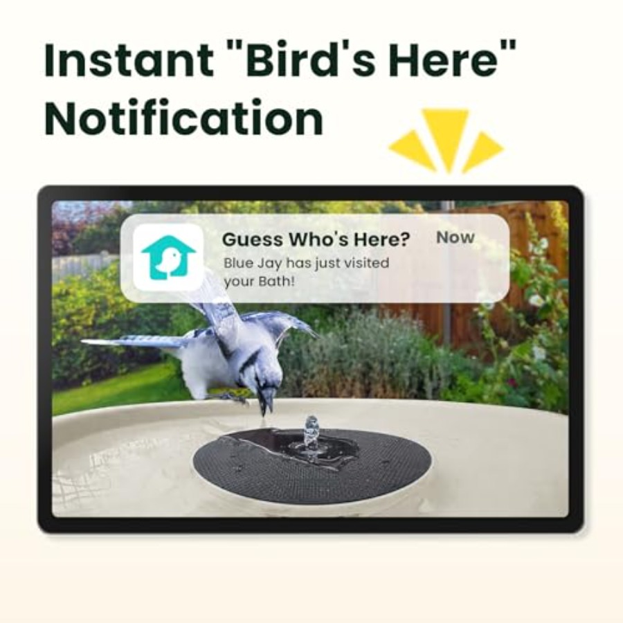 Bird Watching Smart Bird Bath  - огляд і ціна Smartwatch