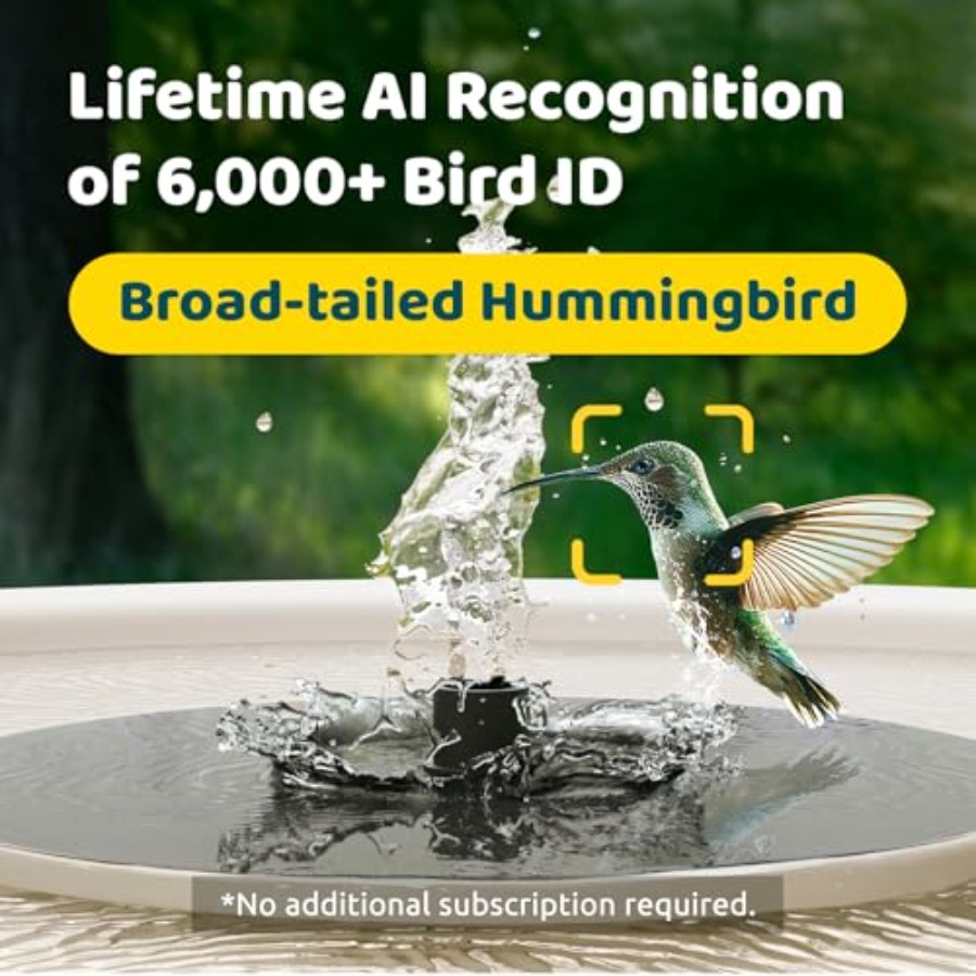 Bird Watching Smart Bird Bath  - огляд і ціна Smartwatch