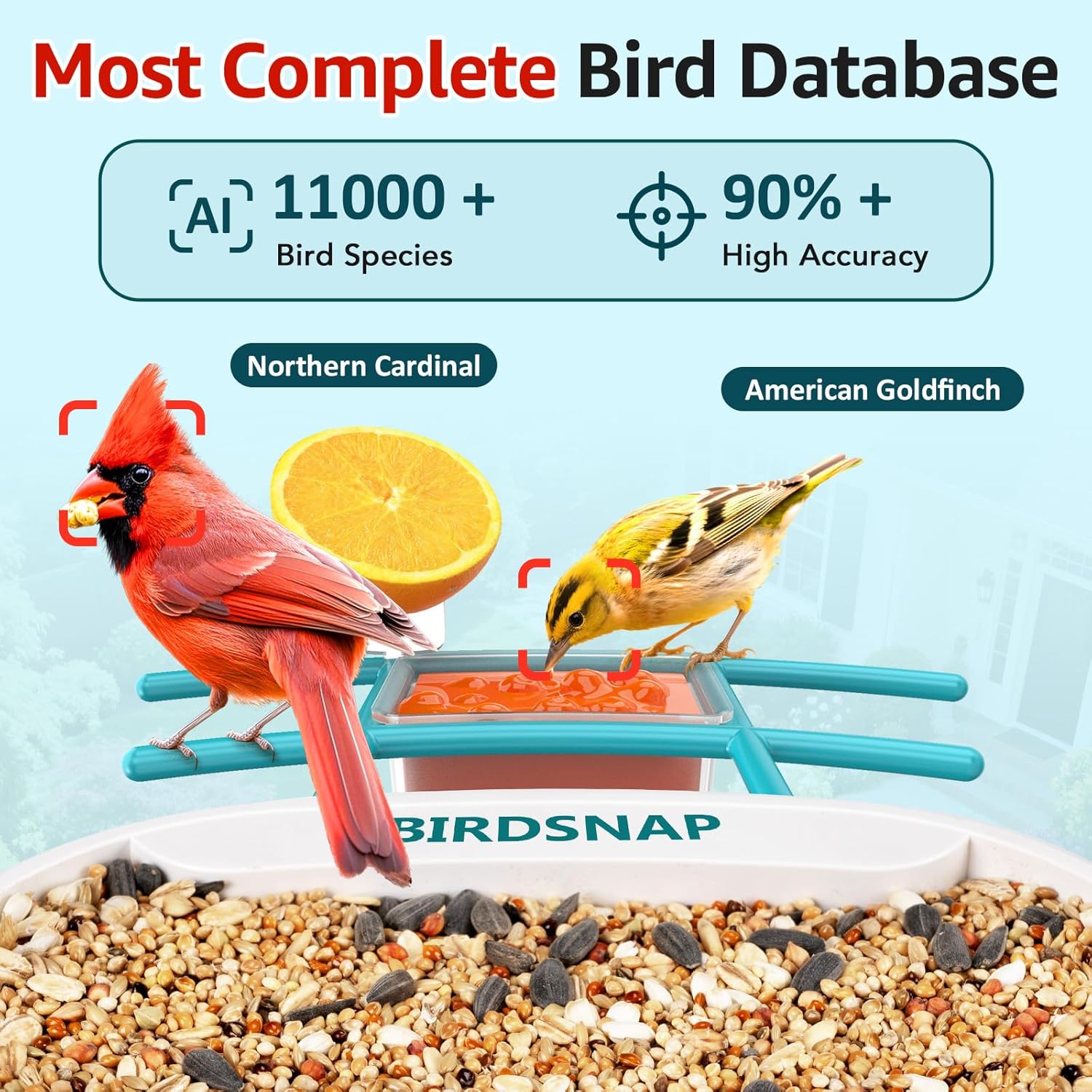 2K HD Bird Feeder Camera with  - огляд і ціна Watches & Jewelry Lvmh